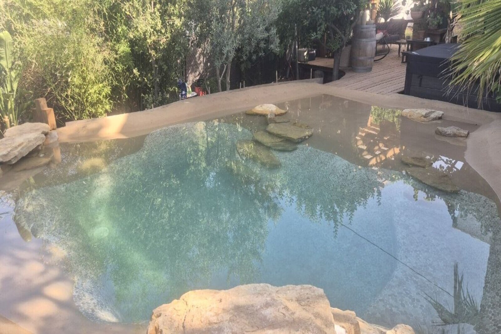Piscine lagon naturelle intégrée dans un jardin méditerranéen dans le Var